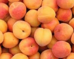 WHAT DOES IT MEAN TO DREAM APRICOTS